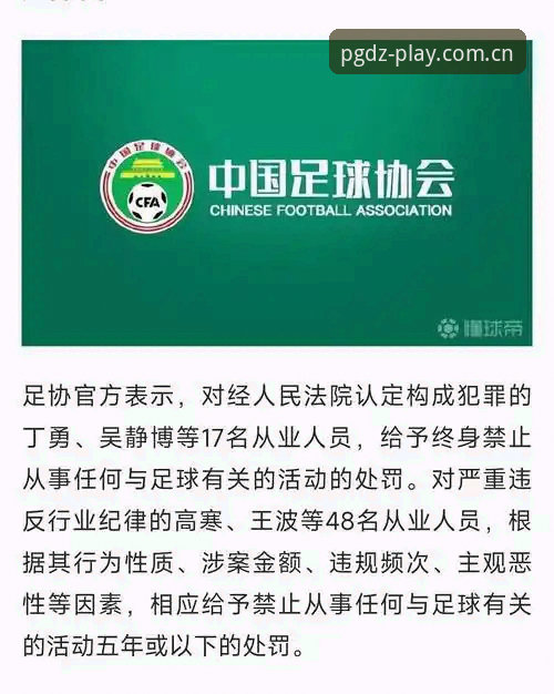 pg电子官网入口使用指南 中国足协第三批禁足名单全面解析:行业整顿背后的深层逻辑